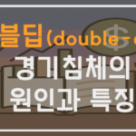 더블딥 경기침체의 원인과 특징
